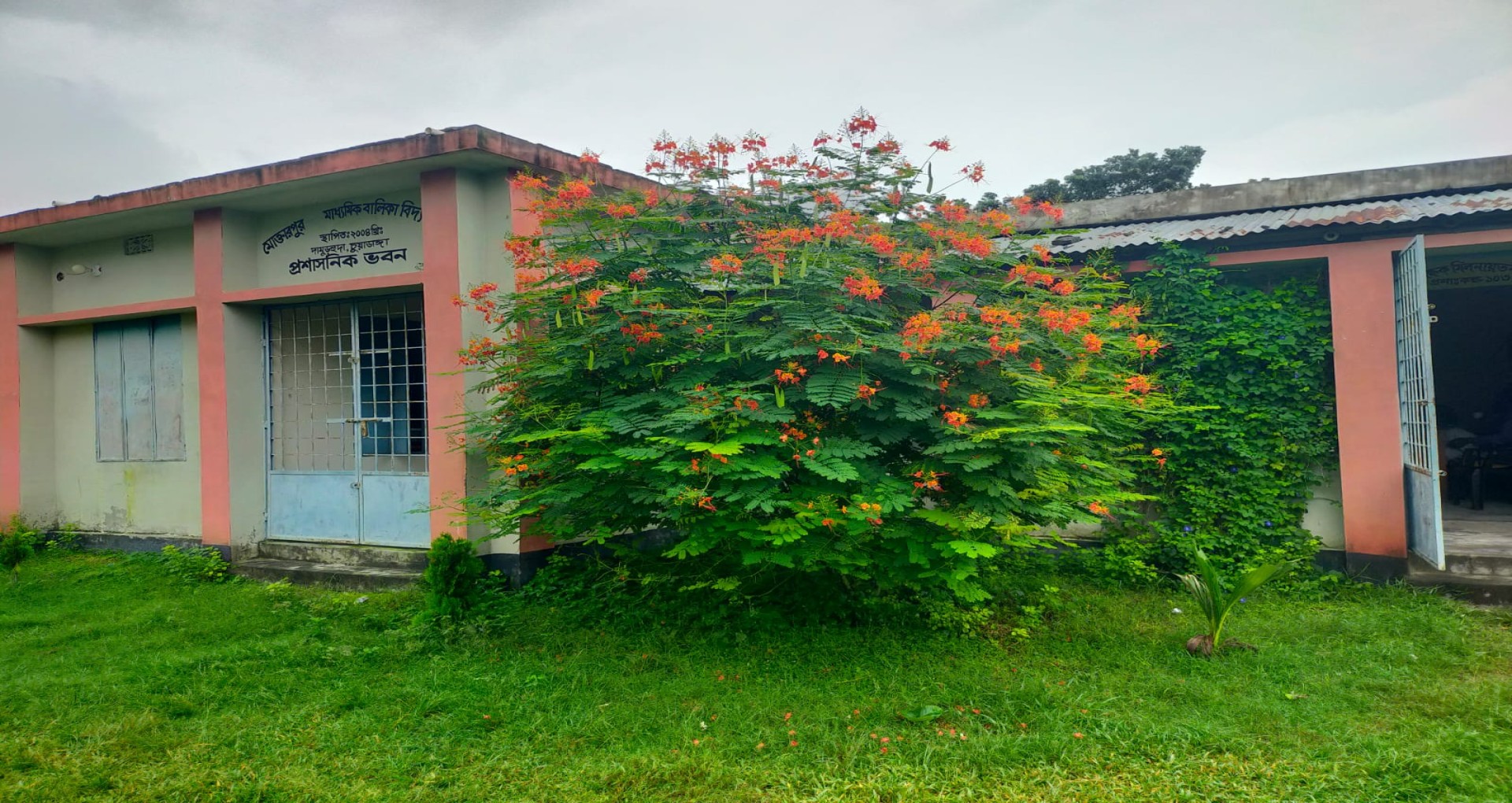 সংক্ষিপ্ত ইতিহাস